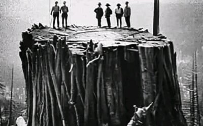 UNA FOTOGRAFIA QUE HABLA  DEL TIEMPO Y DEL ALMA DE LA TIERRA