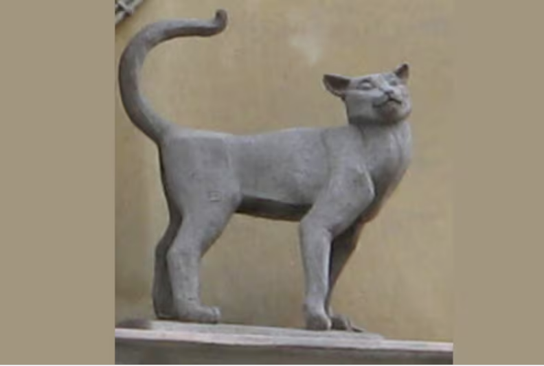 VASKA EL GATO QUE SALVO A SU FAMILIA EN LA GUARRA