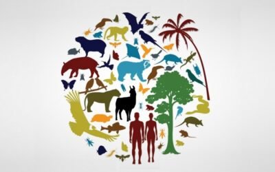 LOS SECRETOS OCULTOS DE LA VIDA EN LA TIERRA