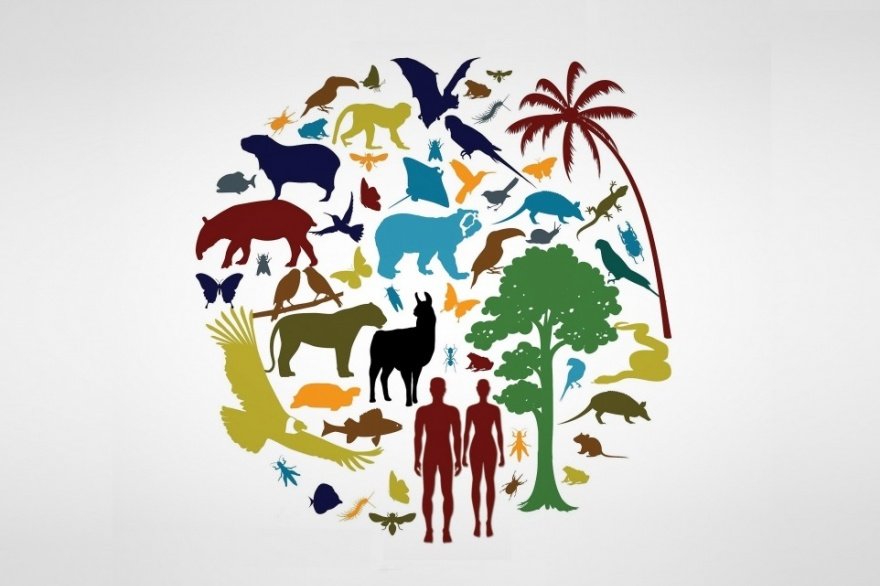 LOS SECRETOS OCULTOS DE LA VIDA EN LA TIERRA