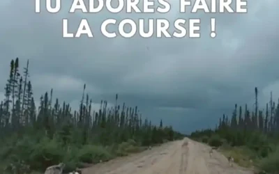 EL PODER DEL PERRO DE 3 PATAS