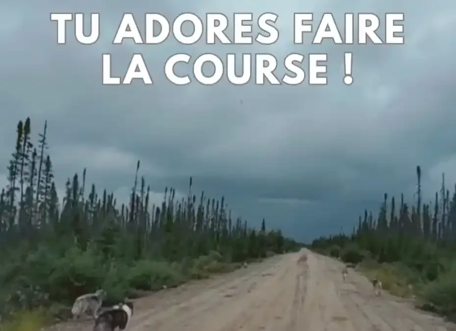 EL PODER DEL PERRO DE 3 PATAS